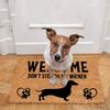 Non- Door Mat, Indoor And Outdoor Carpet, Home Welcome Mat