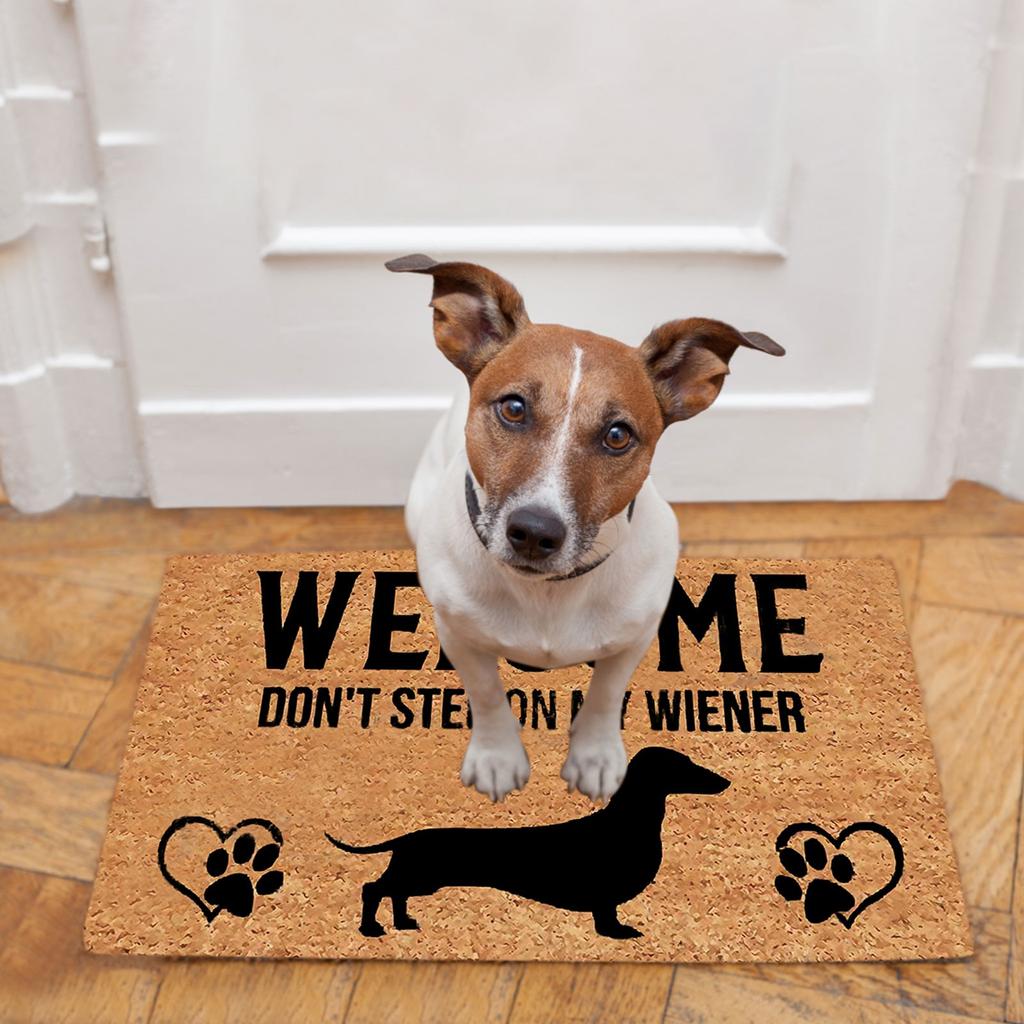 Non- Door Mat, Indoor And Outdoor Carpet, Home Welcome Mat