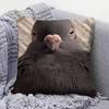 pigeon FFunny MEME  Home Sofa Cushion Covers and Aecorative Custom Pillow Covers