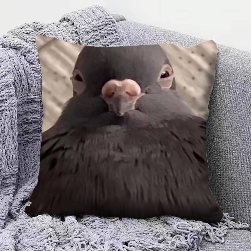 pigeon FFunny MEME  Home Sofa Cushion Covers and Aecorative Custom Pillow Covers