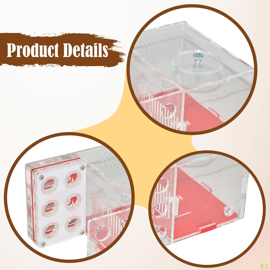 ANT Cage Acryl Farm Villa für Schlafzimmer Wissenschaftliche Beobachtung Kindertag