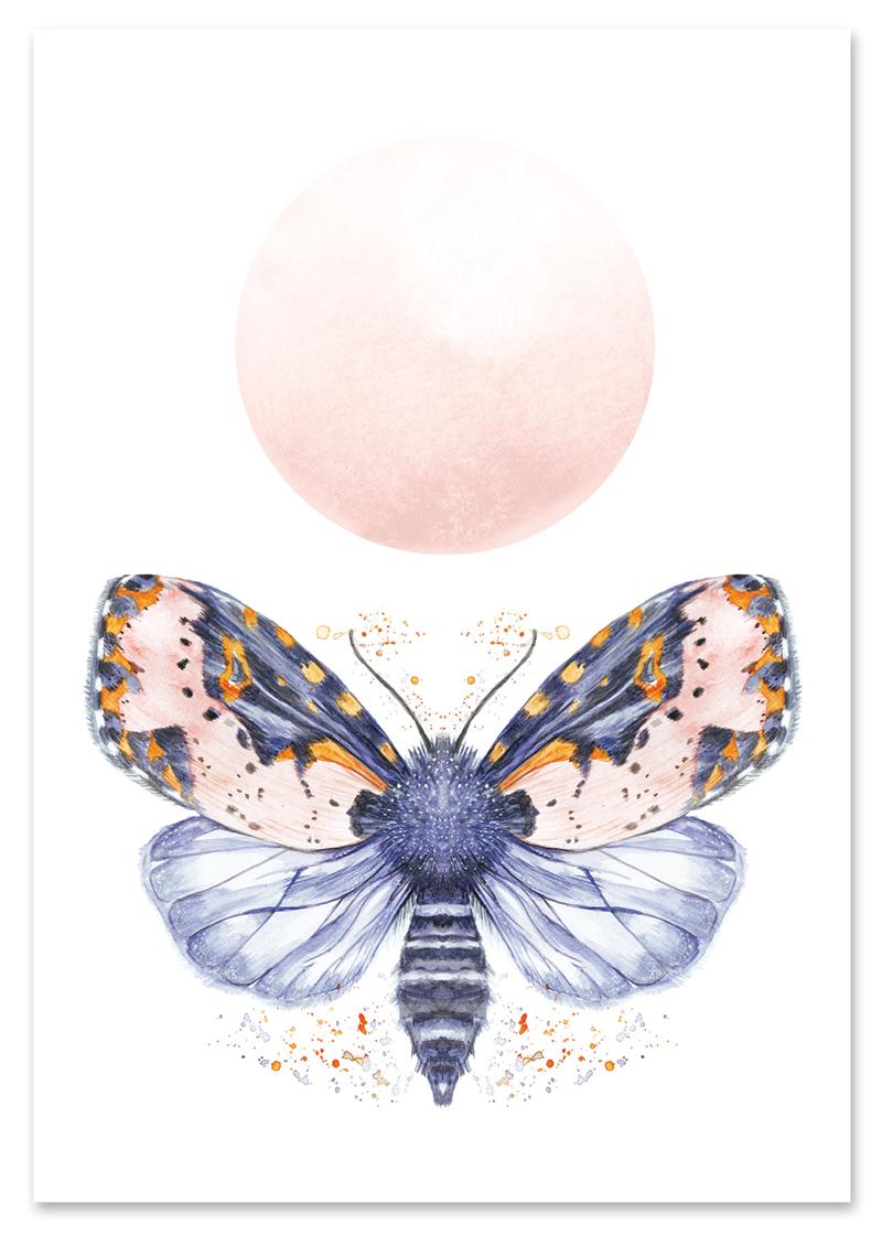 

Plakat ćma motyl pokój dziecka 30x40 cm