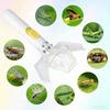 Handheld Insect Viewer Catcher Clear Window Non-contact Quick Release Outdoor Exploration Spider Bee Butterfly Catching Tool with Magnifier Glass