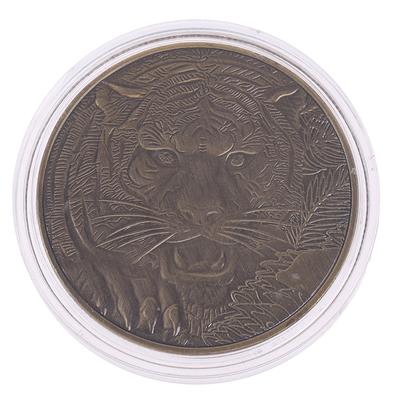 1Pcs Dragon Tiger Bronze Coin Bronze Plated 40Mm Collectible Coins