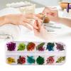 Assorted Color And Shape 3D Dried Flower For Creative Nail Designs Resin Art Projects Professional Salon Home DIY Use