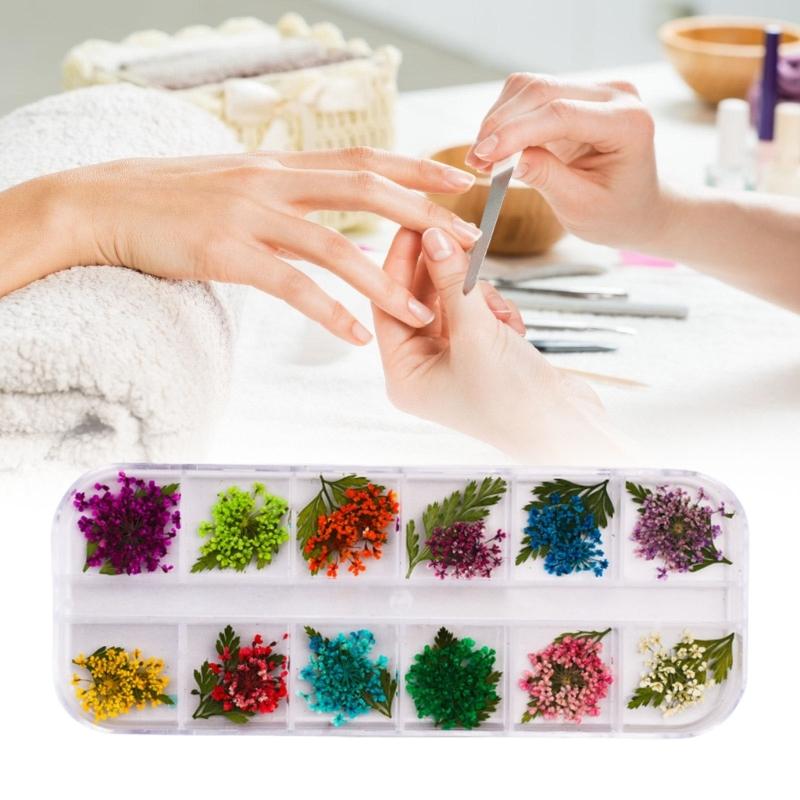 Assorted Color And Shape 3D Dried Flower For Creative Nail Designs Resin Art Projects Professional Salon Home DIY Use