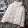 Women's 2024 Korean Style Slim-fit Lightweight Down Jacket with Stand-up Collar and Wave Pattern