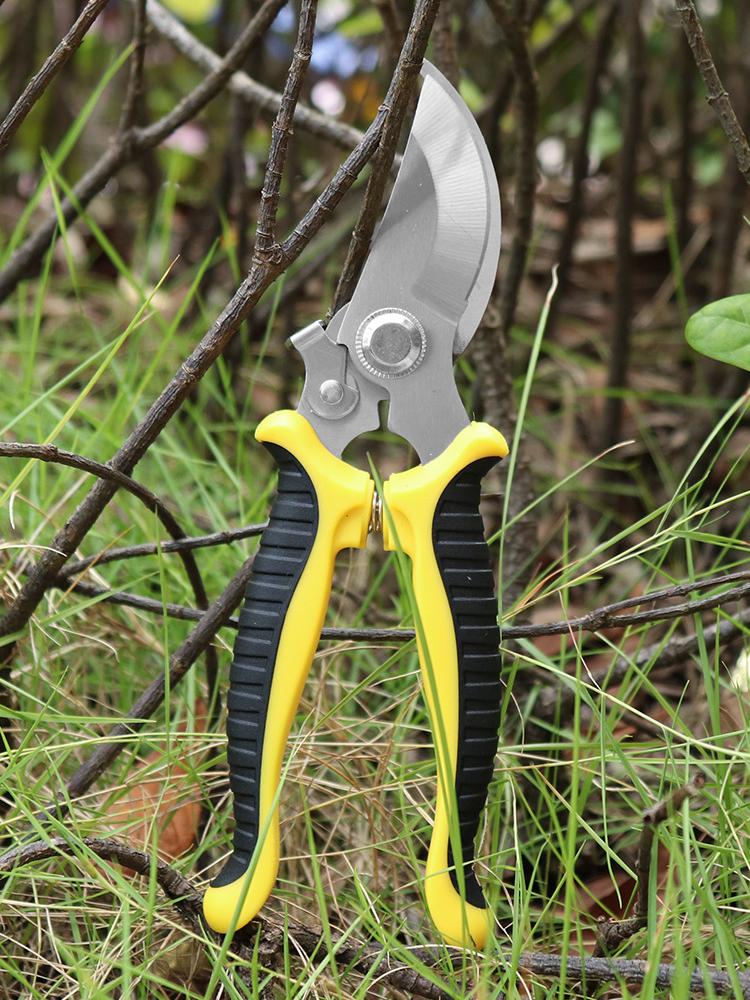 Nůžky Zahradní nůžky Profesionální Ostrý Bypass Zahradní nůžky Nůžky na stromy Zahradnické nůžky Ruční nůžky na zahradnické nůžky na zobáky