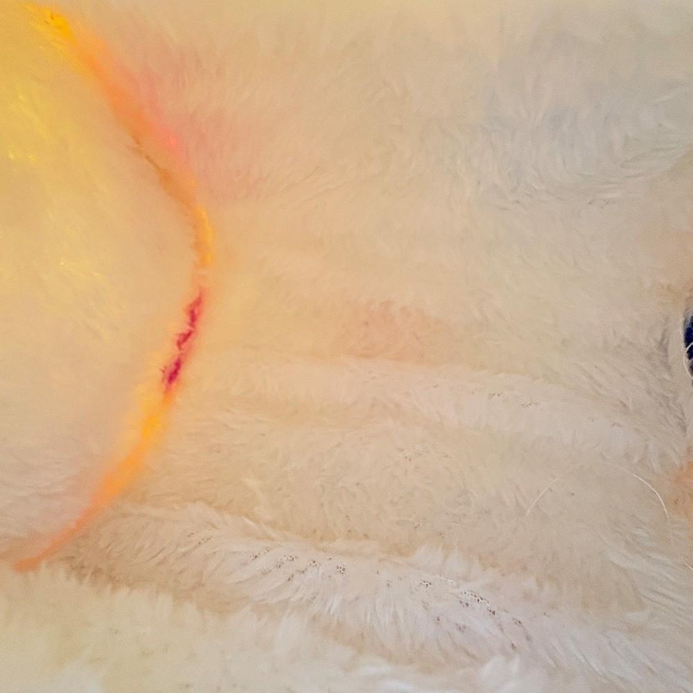 Warm Hamster Hammock Thicken Plush Squirrel Beds Pet Sleeping Bag Cage Accessories