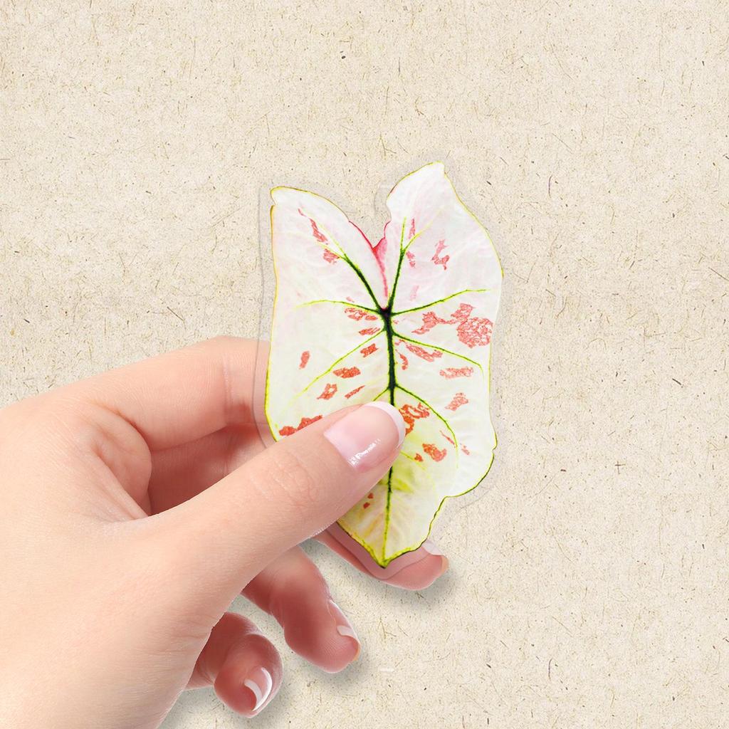 50 Colorful Taro Transparent Plant Stickers: Realistic, Waterproof, DIY Stationery for Potted Plants, Fridges, and Milk Tea Cups
