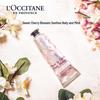 L'Occitane Cherry Blossom Hand Cream