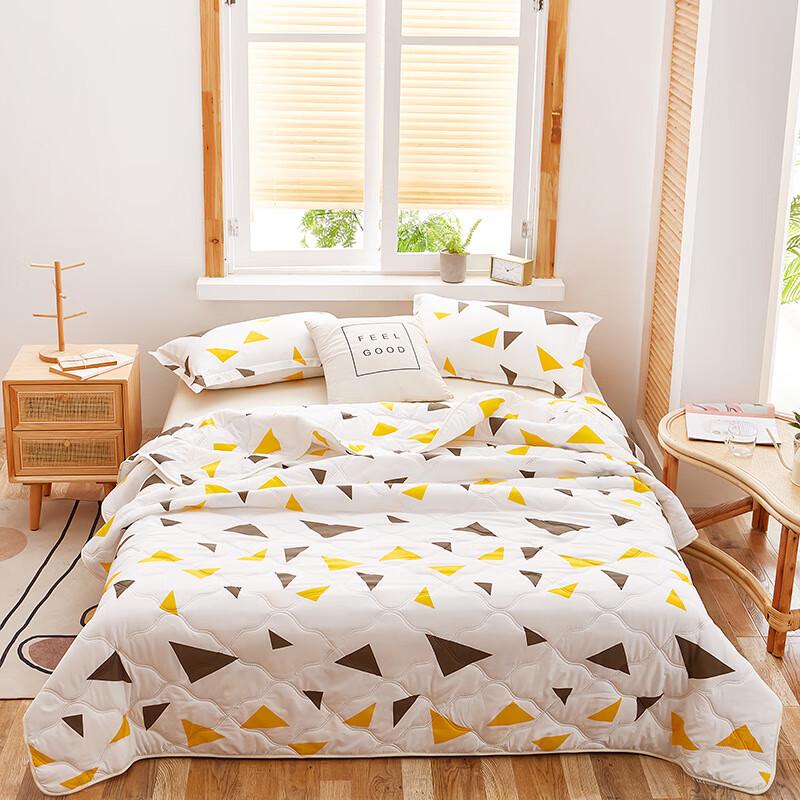 

Gong Xiansheng Brushed Printed Summer Quilt
