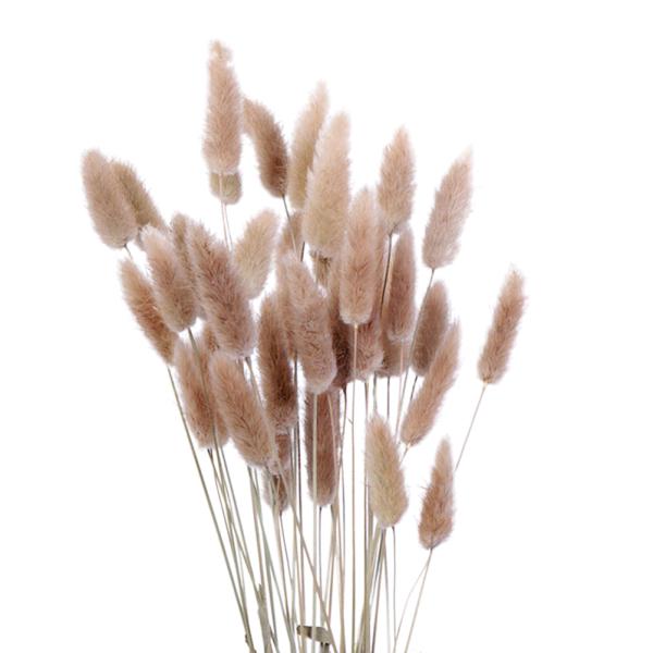 Natural Plants Look Dried Flowers Bouquets Home Art Living Room Decoration 20Pcs