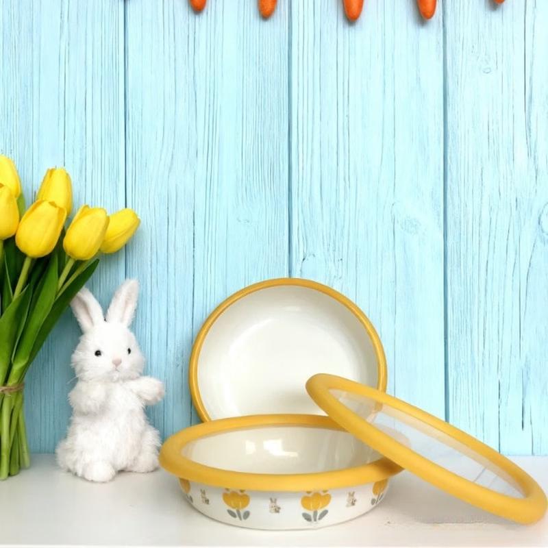 

Enamel Food Storage Bowl with Lid