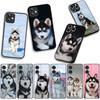 Phone Cover Lovely Husky Dog Funny Casing for Apple iPhone 16 15 14 Plus 13 12 Mini 17 Pro Max + ProMax 16E Air 15+ Case