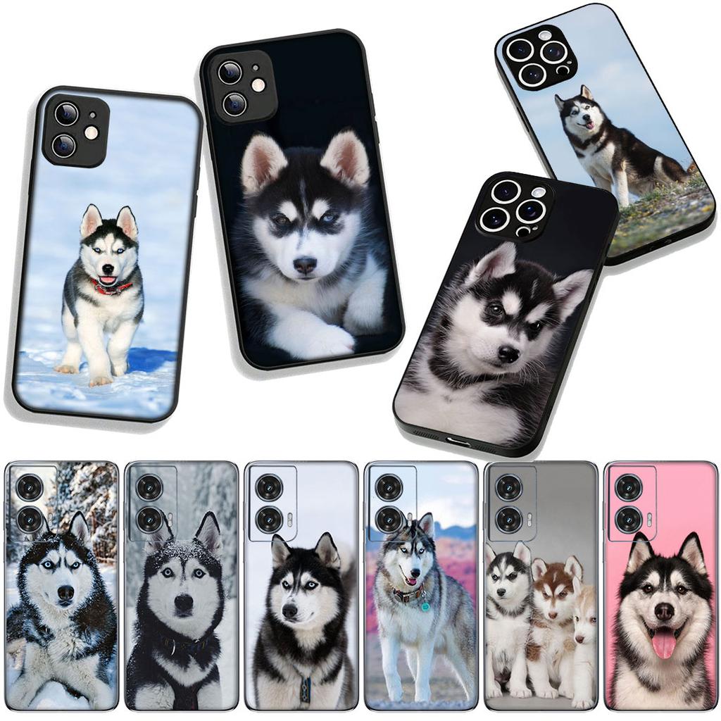 Phone Cover Lovely Husky Dog Funny Casing for Apple iPhone 16 15 14 Plus 13 12 Mini 17 Pro Max + ProMax 16E Air 15+ Case