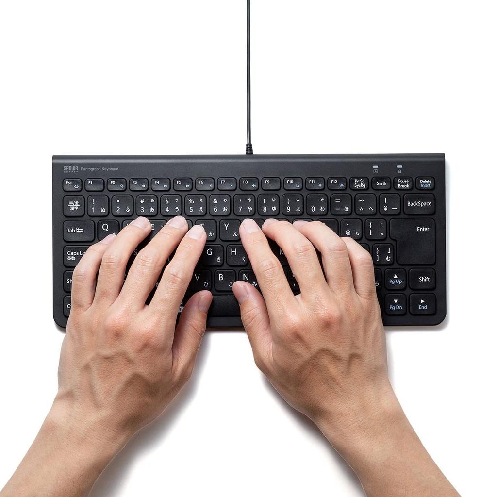 Sanwa Supply USB Slim Keyboard SKB-SL32BK