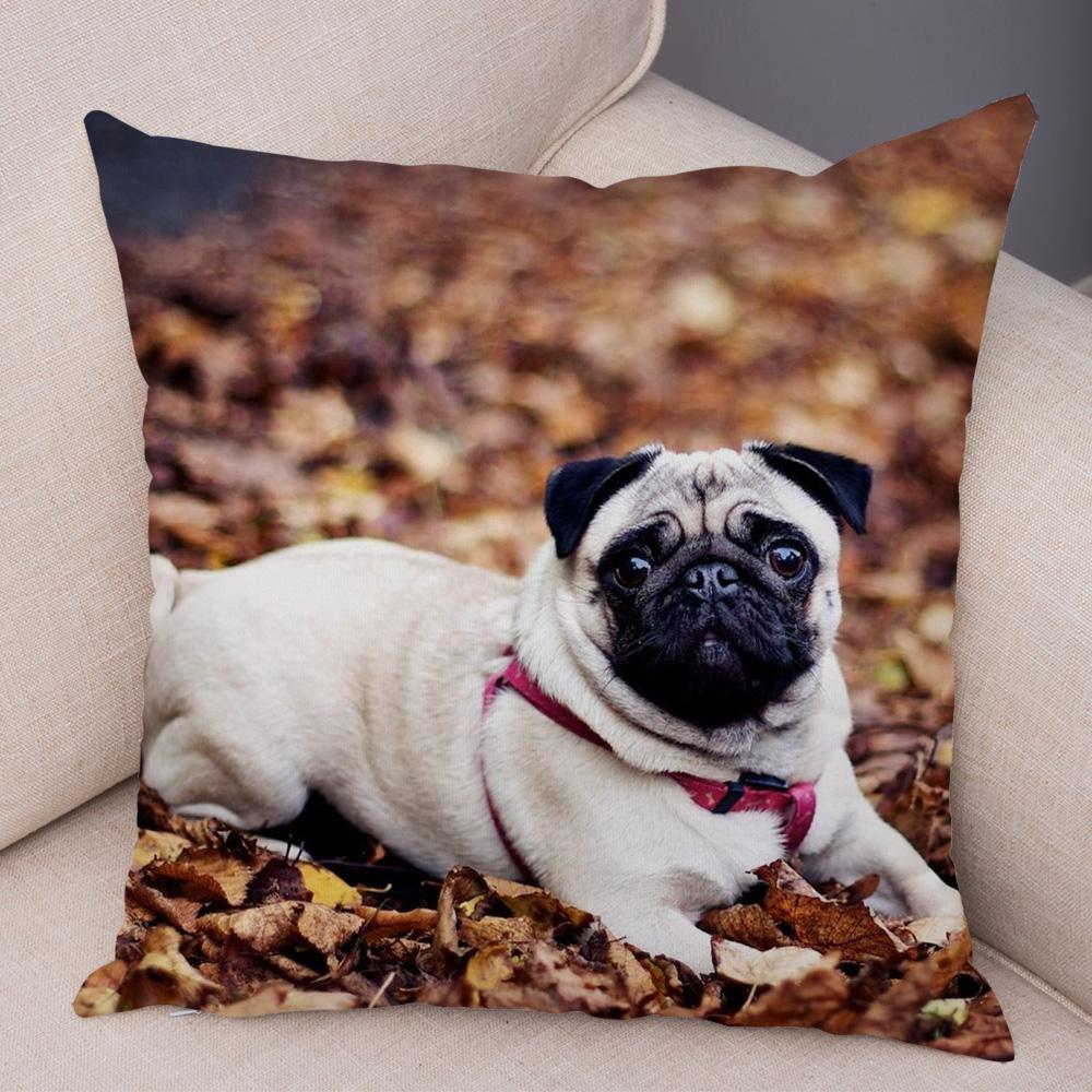 Cute Pug Dog Cushion Cover Both Sided Print Decor Pet Animal Pillowcase for Car Sofa Home Car Soft Plush Throw Pillow Case