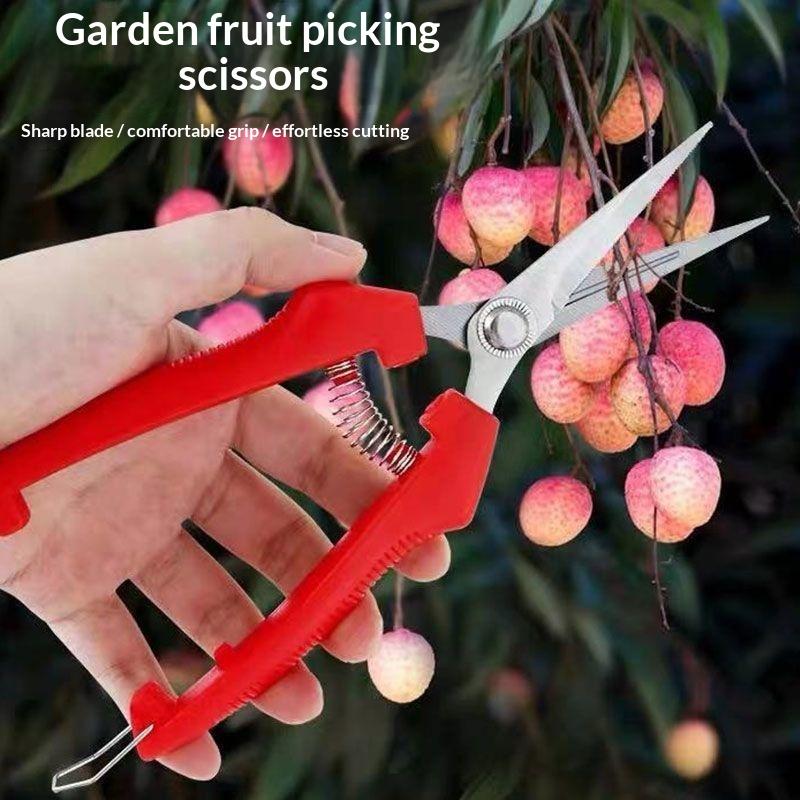 Langlebige Gartenschere Scharfe Edelstahlklingen Rutschfeste Rote Griffe Geeignet für Alle Gartenarbeiten Beschneiden Auslichten