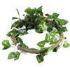 Reptil Klättergren Flexibel Djungel 3.28ft Rattan 1st Vinstock(3.28ft Rattan+Scindapsusblad)