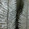 6Pcs Fashion Feathers Simulation Leaf Christmas Tree Ornament Gold Silver Power Glitter Home Decor Plant Wedding Party