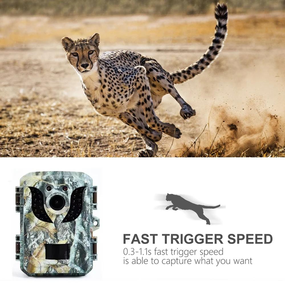 2025 Mini Hunting Camera 16MP 1080P HD Trail Camera Infrared Night Vision Waterproof Motion Activated Photo Animal Observation Camera