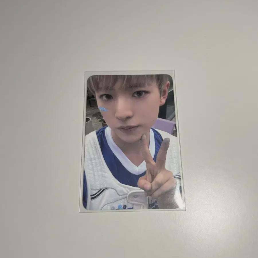 

Ncitywish Nwish Цвет Кэтапо Люкси Шионрикуюши Сакуя