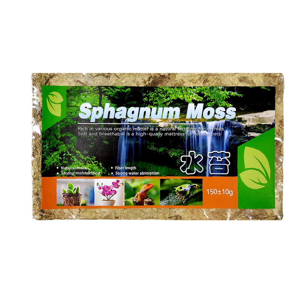 Plant Grown Peat Moss With Long Fibers For Drying Water Moss