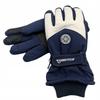 Ski Gloves Winter Gloves Men's Women's Universal M/L