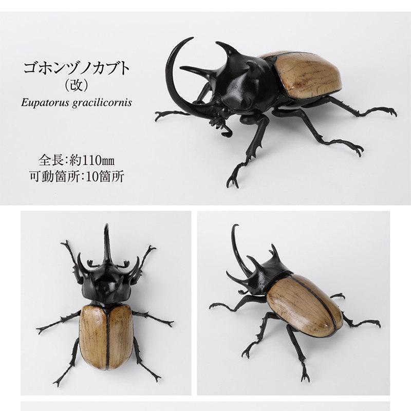 Beetle Insect Model Articulated Realistic 10 Joints Desktop Decor Ornament Chalcosoma Chiron Dynastes Grantii