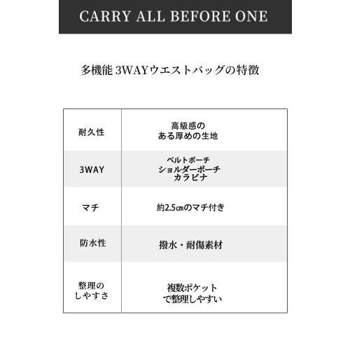 CARRY ALL BEFORE ONE Multifunctional Waist Pouch/Nurse Pouch for Work, 12 Pockets, 3-Way Gusset, Stationery, Tools, Small Items, Work, Nursing, Care,