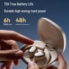 SANAG C16S Open-Ear Hook True Wireless Sports Earphones
