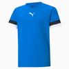 Puma Mens TeamRISE Jersey
