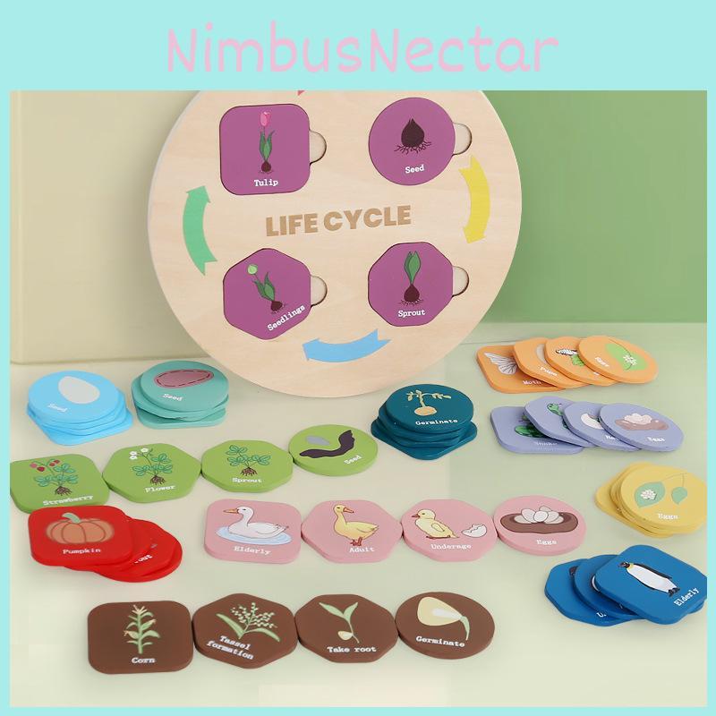 Wooden Child Educational Animal Plant Life Cycle Puzzle For Learning Early
