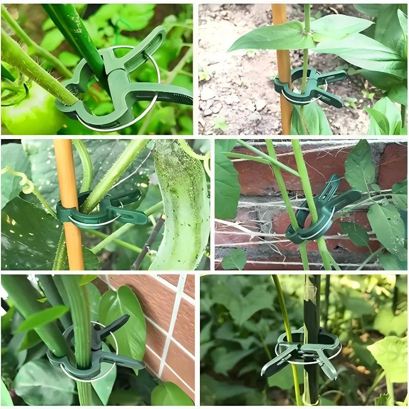 Plant Support Clips for Climbing Plants,Garden Vine Fixing Clips for Tomato Vegetable Vines for Backyard Farm Gardening Daily Plant Care Work