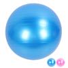 Extra Thick Exercise Ball PVC Anti Burst Inflatable Gym Ball with Pump for Pilates Balance Stability