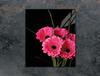 SZKLANA DESKA DO KROJENIA 45x52 GERBERA