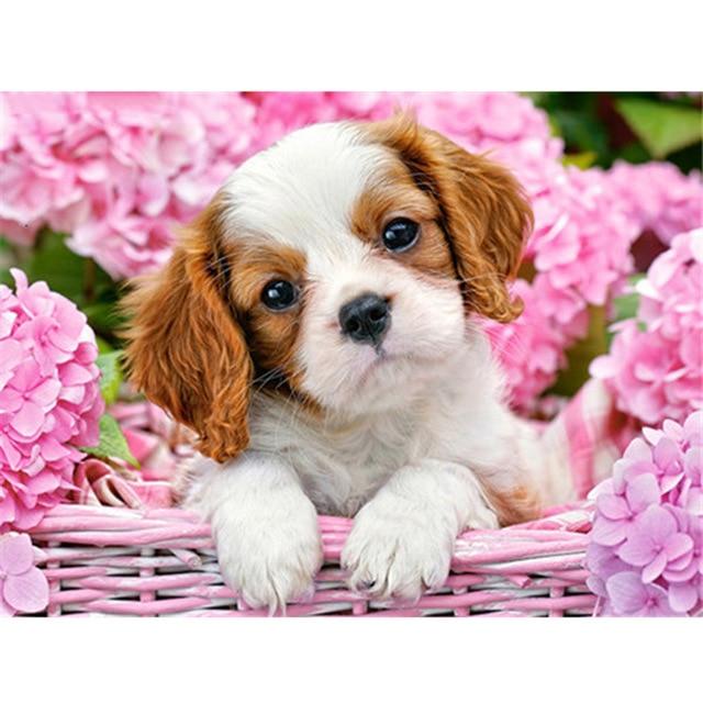 DIY 5D Diamond Painting Full Round Drill Animal Diamond Embroidery Cartoon Dog Cross Stitch Rhinestone Mosaic Gift Wall Sticker