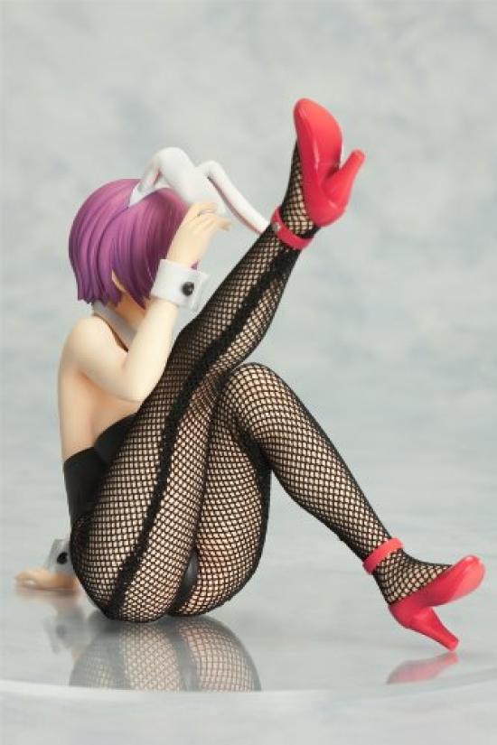 Rare Selection 2010 Winter Illustrated by Kohaku Sumeragi Minori Aiba scale PVC painted finished figure V.I.P 1/7