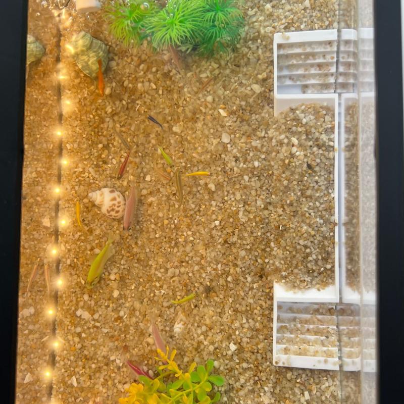 Abs Aquarium Cave Corner Tunnel Widened Non-Slip Bottom Stepped Aquarium Tunnel Aquatic Decorations Accessories