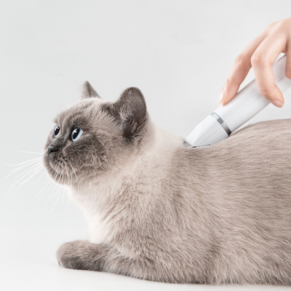 cat shaver