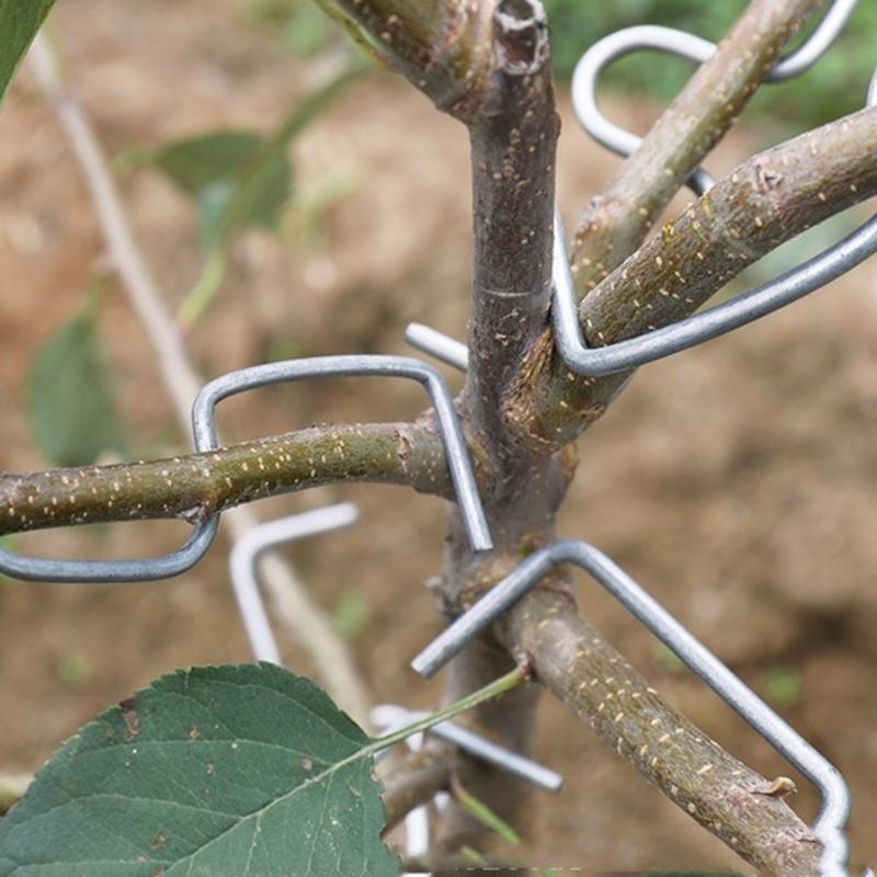 20/50/100Pcs Fruit Tree Branch Fruit Tree Branch Spreader Tree Branch Spreader Puller Tying Machine Farm Tools