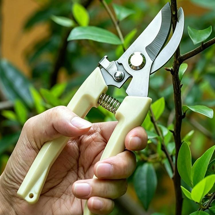 Grafting Pruning Shears Garden Grafting Scissors Fruit Tree Branch Cutting Trimmer Tool for Gardening Plant Grafting бежевый