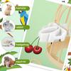 6Pcs Plastic Pet Bird Food Clip Mini Portable Parrot Fruit Vegetable Clip Practical Birds Food Holder Bird Cage Accessories
