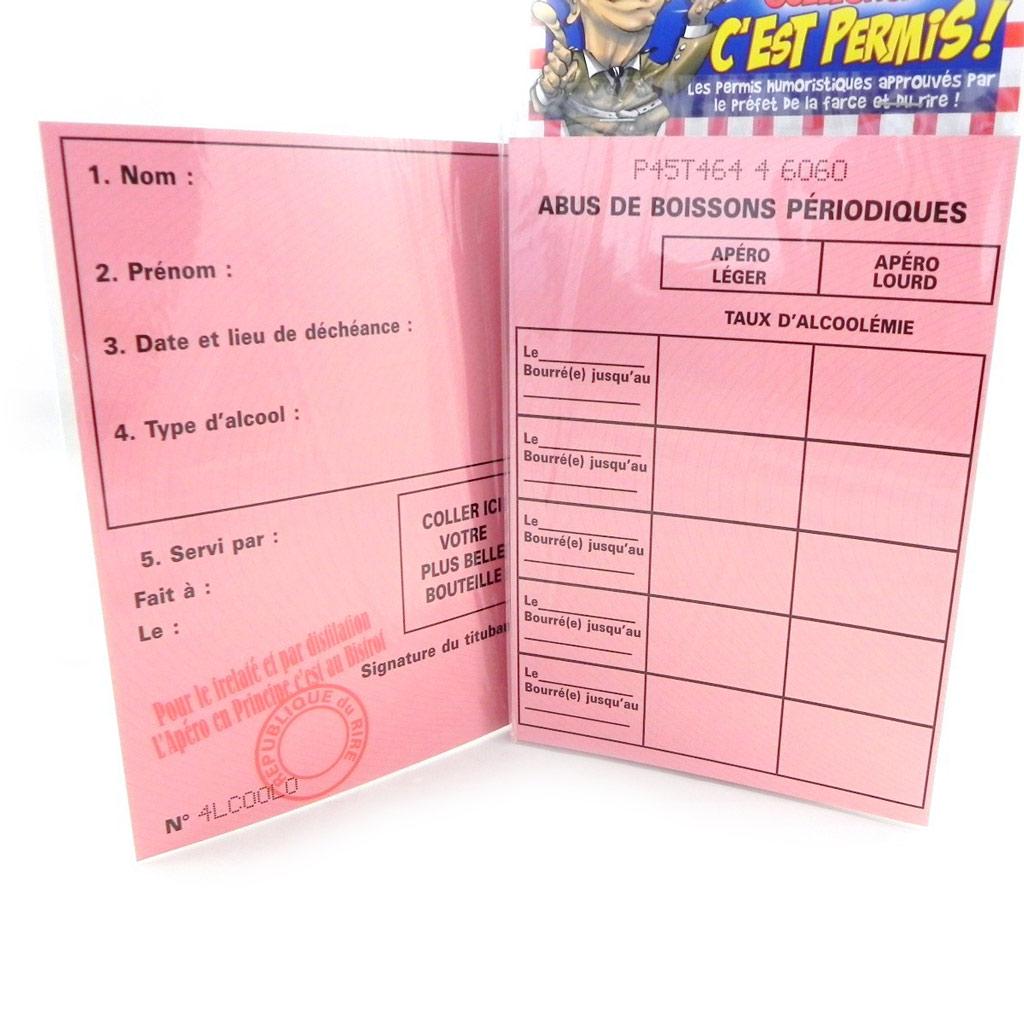 Les Trésors De Lily [H6980] - Special Card 'Permit To Use' - 20.5x14.5 Cm