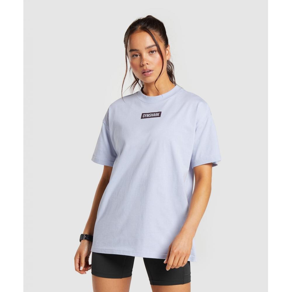 

Футболка GYMSHARK Block Oversized Серебристо-сиреневый B6A3Z PBVS