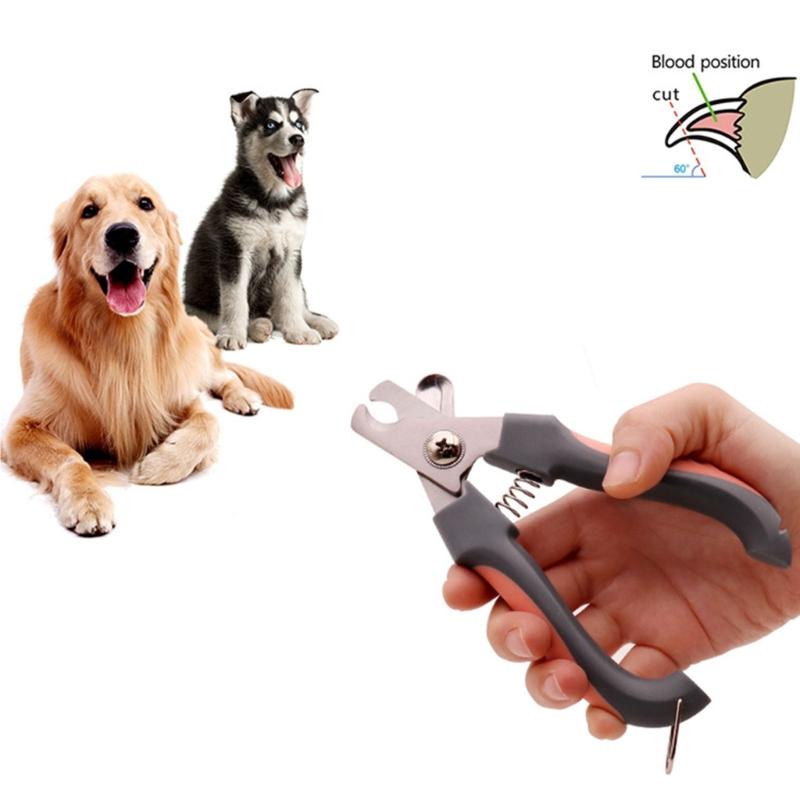 All Size Pet Nail Clippers With Protective Guard Stainless Steel Blade and Grooming File for Small Dog Cats Grooming Use