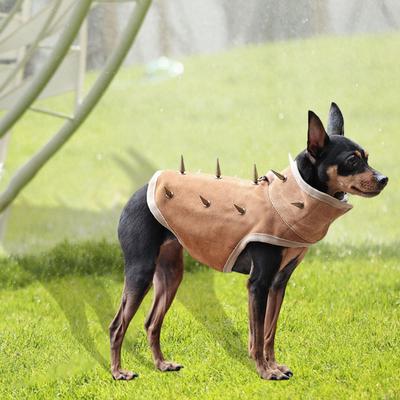 Giyim ve ayakkabı – Köpekler için yelekler ve gömlekler