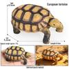 Wild Animal Model: Children's Simulation Turtle Gift Set - Tortoise Variants & Spiderweb Design.