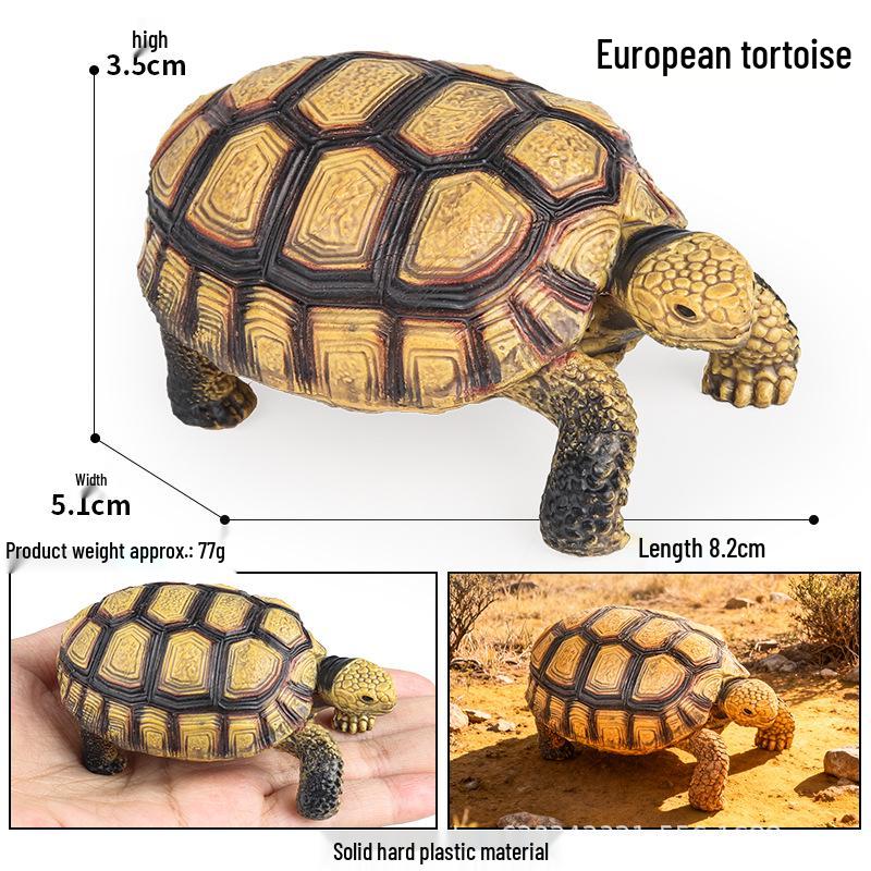 Wild Animal Model: Children's Simulation Turtle Gift Set - Tortoise Variants & Spiderweb Design.